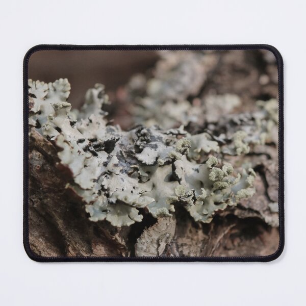 Item preview, Rustic Forest Lichen on Tree Bark Macro Photography designed and sold by vikko-art.