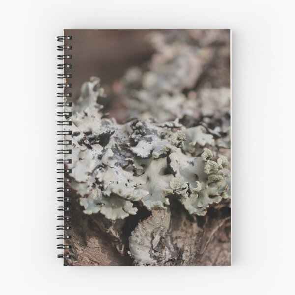 Item preview, Rustic Forest Lichen on Tree Bark Macro Photography designed and sold by vikko-art.