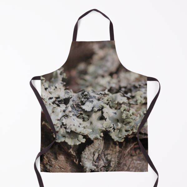 Item preview, Rustic Forest Lichen on Tree Bark Macro Photography designed and sold by vikko-art.