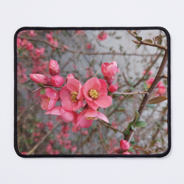 Item preview, Beautiful nature on the meadow designed and sold by MartinSlow.