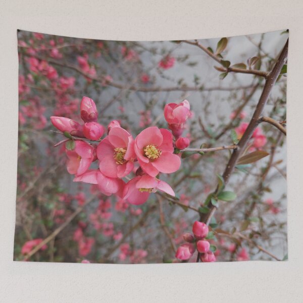 Item preview, Beautiful nature on the meadow designed and sold by MartinSlow.
