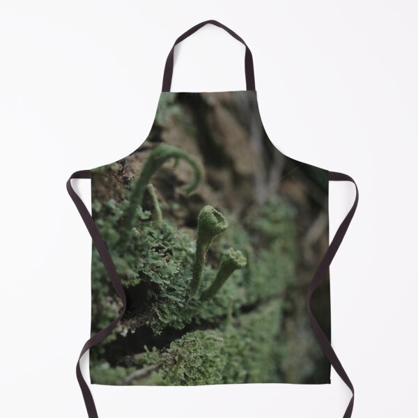 Item preview, Moody Forest Pixie Cup Lichen Macro Photography designed and sold by vikko-art.