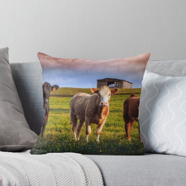 Item preview, One Two Three...CHEESE designed and sold by Jim Love.