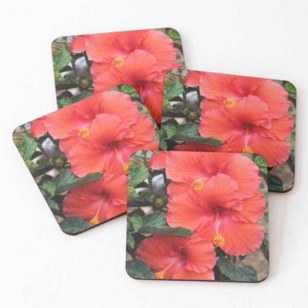 Item preview, Three Hibiscus Flowers designed and sold by TiffanySpaulding.