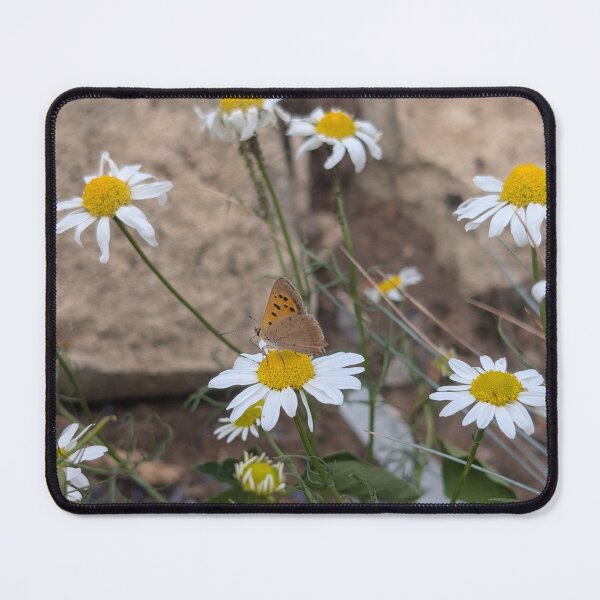 Item preview, A fluttering visitor designed and sold by LifeLookingCloser.