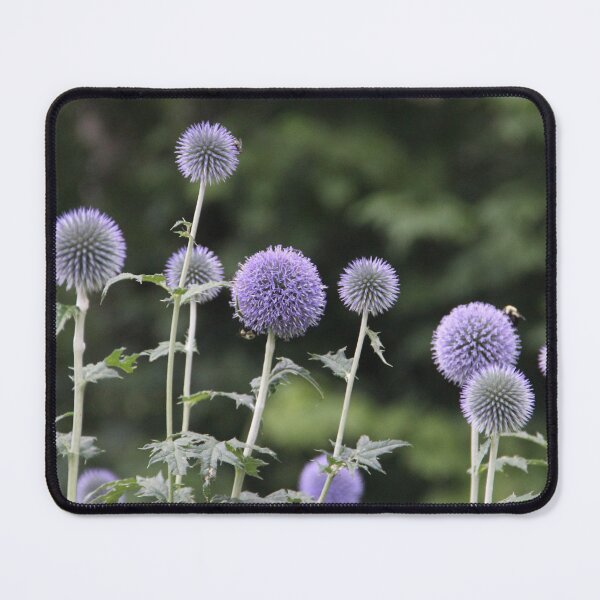 Item preview, Wild Thistle Flowers designed and sold by TiffanySpaulding.