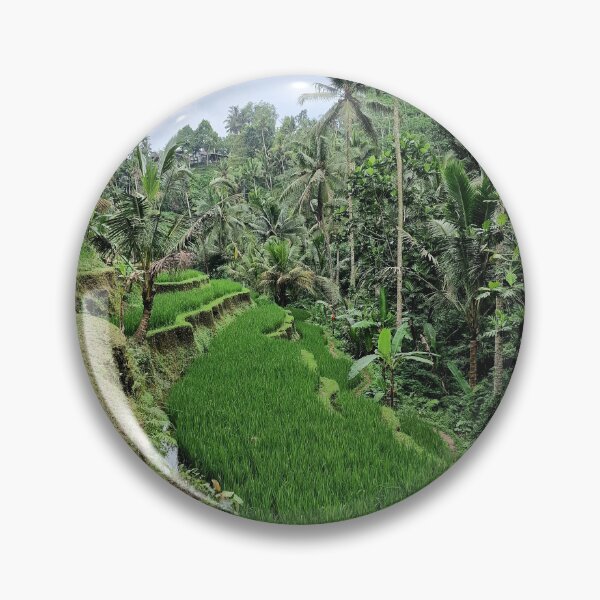 Item preview, Asia, Bali, Reisterrasse, Photography, Bebicervin designed and sold by BebiCervin.