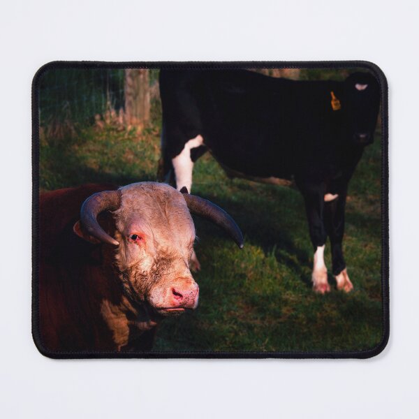 Item preview, Good Morning Big Man designed and sold by Jim Love.