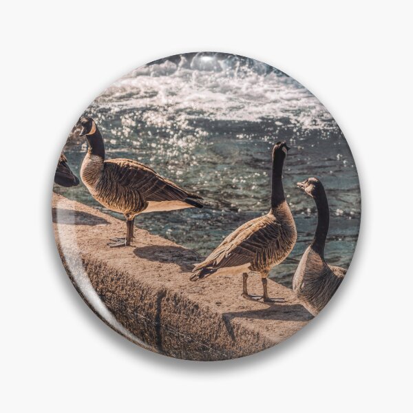 Item preview, 4 Dam Geese designed and sold by Jim Love.