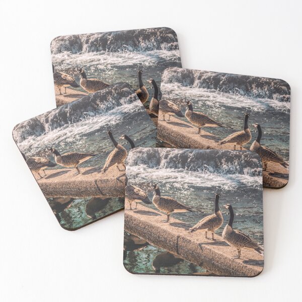 Item preview, 4 Dam Geese designed and sold by Jim Love.