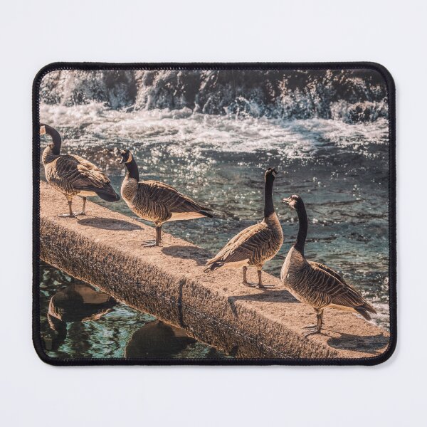 Item preview, 4 Dam Geese designed and sold by Jim Love.