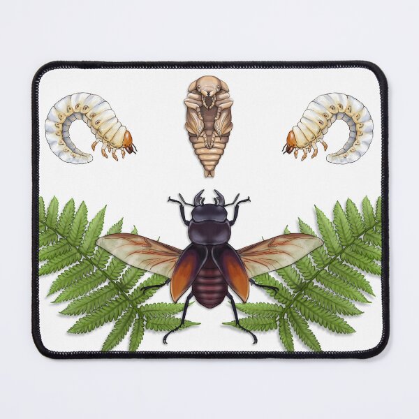 Item preview, Stag beetle metamorphosis designed and sold by Spawnicorn.