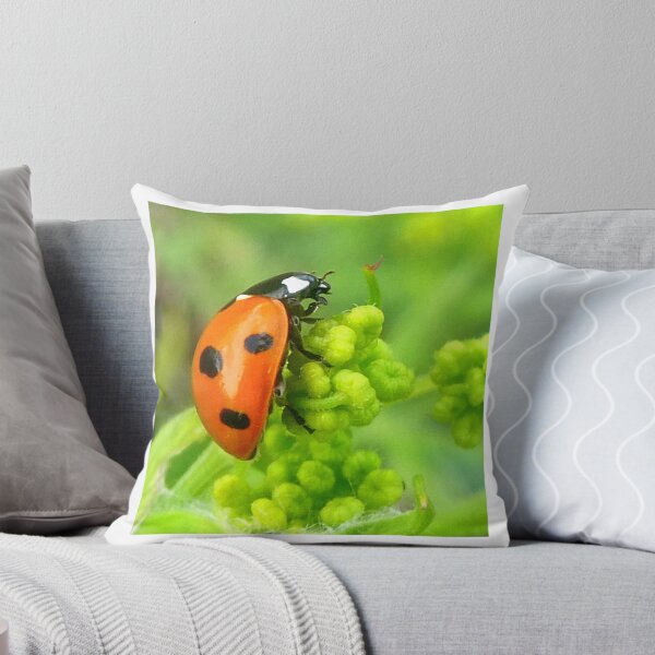 Item preview, Ladybird on green designed and sold by angel1.