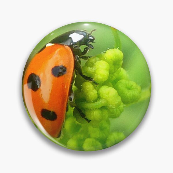 Item preview, Ladybird on green designed and sold by angel1.