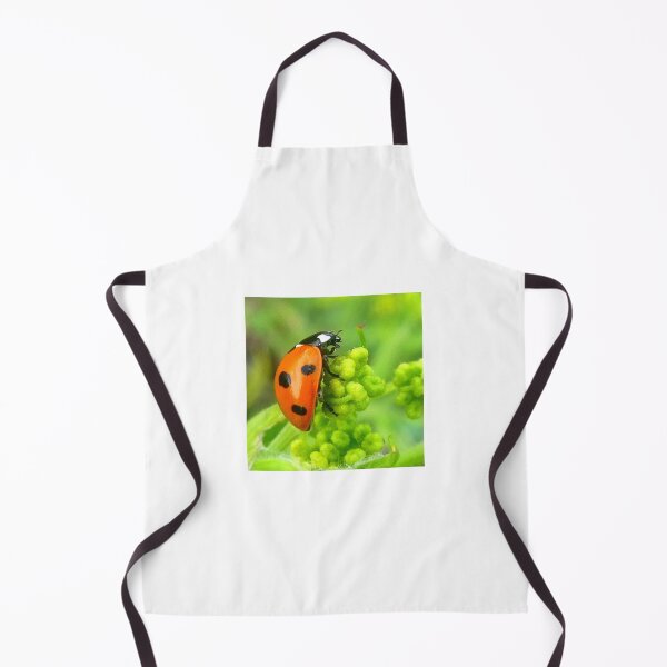 Item preview, Ladybird on green designed and sold by angel1.