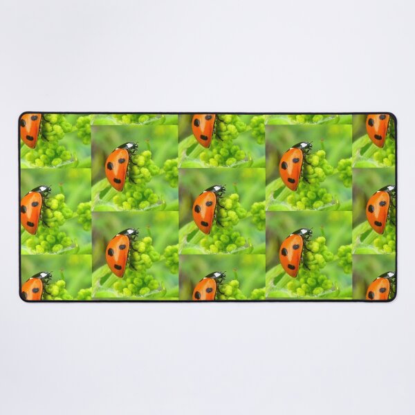 Item preview, Ladybird on green designed and sold by angel1.