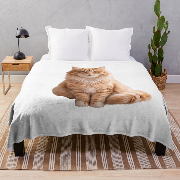 Item preview, Orange Cat designed and sold by tidos10.