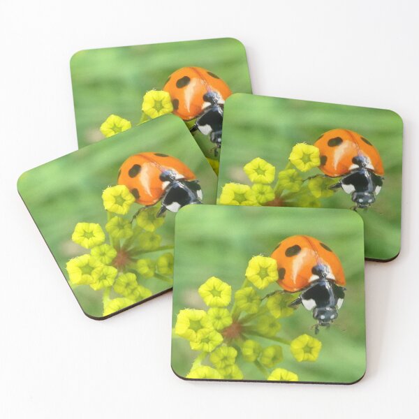 Item preview, Ladybird face forward designed and sold by angel1.