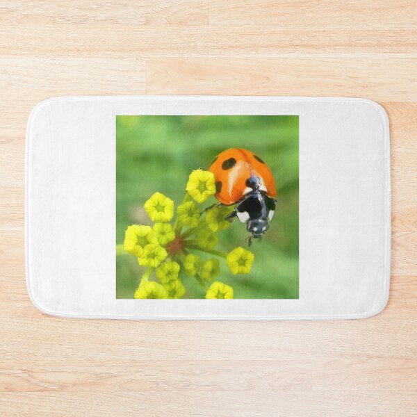 Item preview, Ladybird face forward designed and sold by angel1.