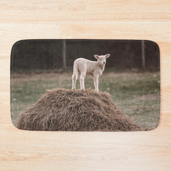 Item preview, At The Summit designed and sold by Jim Love.
