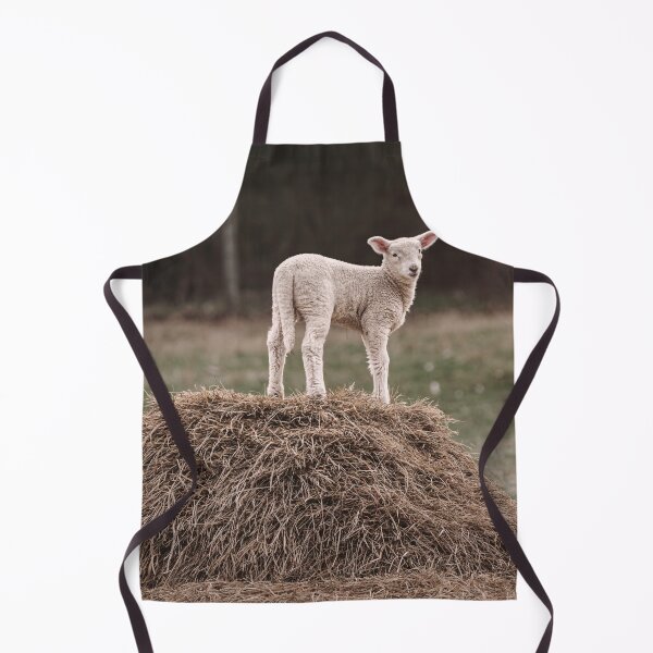 Item preview, At The Summit designed and sold by Jim Love.