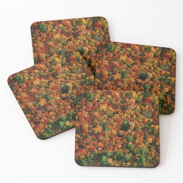 Item preview, Vibrant Treetops in Autumn designed and sold by PygmyTitan Photo.