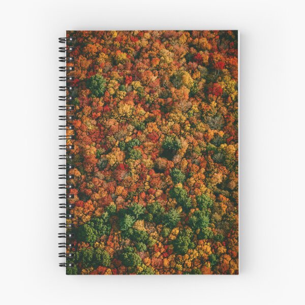 Item preview, Vibrant Treetops in Autumn designed and sold by PygmyTitan Photo.