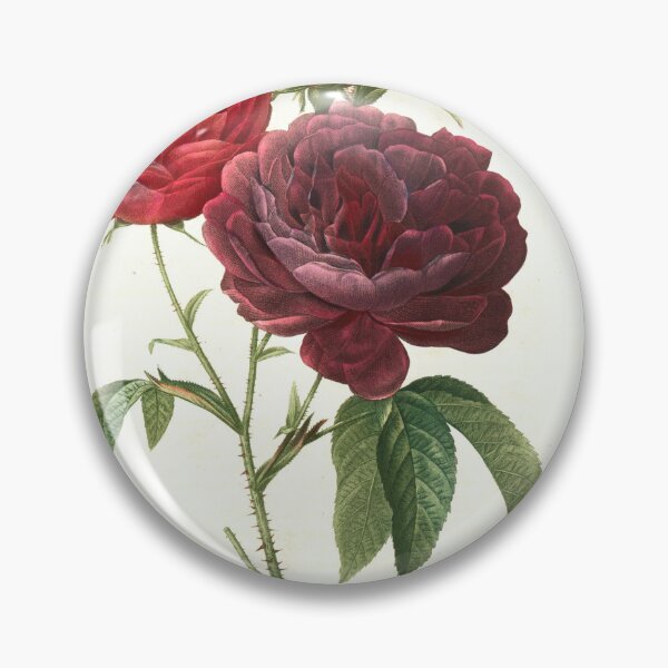 Item preview, Rosa Gallica designed and sold by southmetro.
