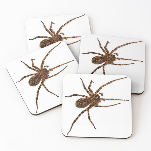 Item preview, Realistic Bathroom Spider designed and sold by GusiaTreasures.