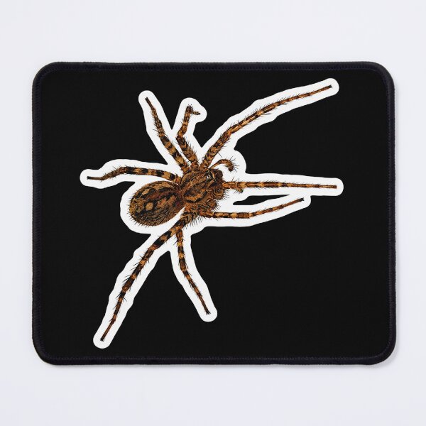Item preview, Realistic Bathroom Spider designed and sold by GusiaTreasures.