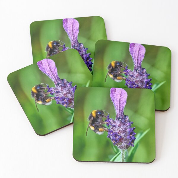 Item preview, Bee on Lavender Plant designed and sold by Tom McPherson Photography.