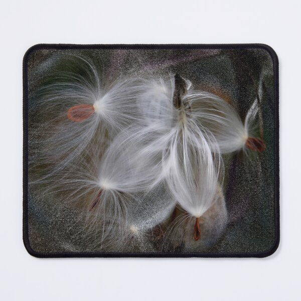 Item preview, Five Seeds for the Monarch designed and sold by Wayne King.