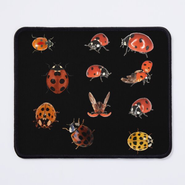 Item preview, ladybug stickerpack!!! designed and sold by PLANET-VEE.