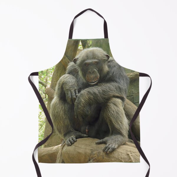 Item preview, Gorilla Sitting Looking at Camera designed and sold by Linda Walsh.