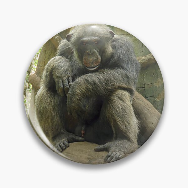 Item preview, Gorilla Sitting Looking at Camera  designed and sold by Linda Walsh.