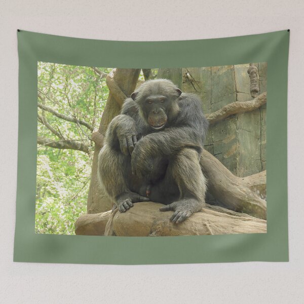 Item preview, Gorilla Sitting Looking at Camera  designed and sold by Linda Walsh.