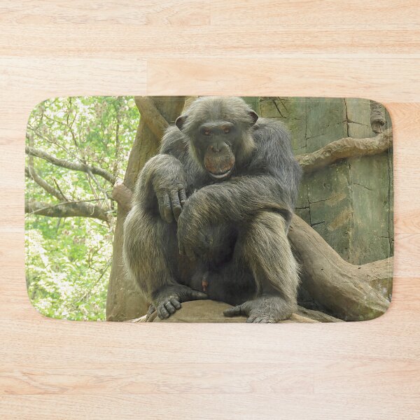 Item preview, Gorilla Sitting Looking at Camera  designed and sold by Linda Walsh.