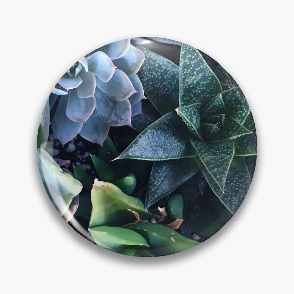Item preview, Contemporary, Sophisticated Succulents Art Photo designed and sold by DEC02.
