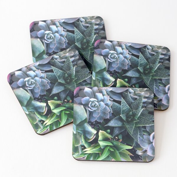 Item preview, Contemporary, Sophisticated Succulents Art Photo designed and sold by DEC02.