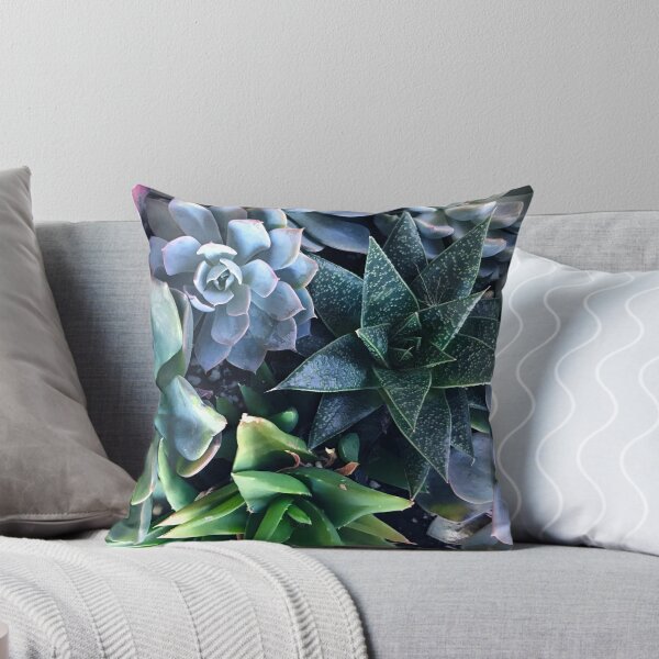 Item preview, Contemporary, Sophisticated Succulents Art Photo designed and sold by DEC02.