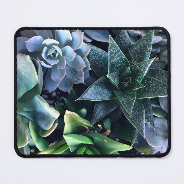 Item preview, Contemporary, Sophisticated Succulents Art Photo designed and sold by DEC02.