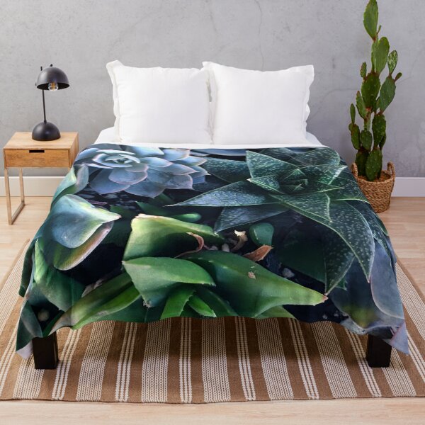 Item preview, Contemporary, Sophisticated Succulents Art Photo designed and sold by DEC02.