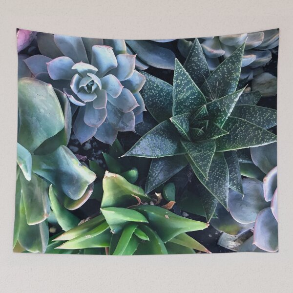 Item preview, Contemporary, Sophisticated Succulents Art Photo designed and sold by DEC02.