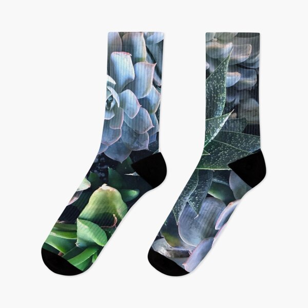 Item preview, Contemporary, Sophisticated Succulents Art Photo designed and sold by DEC02.
