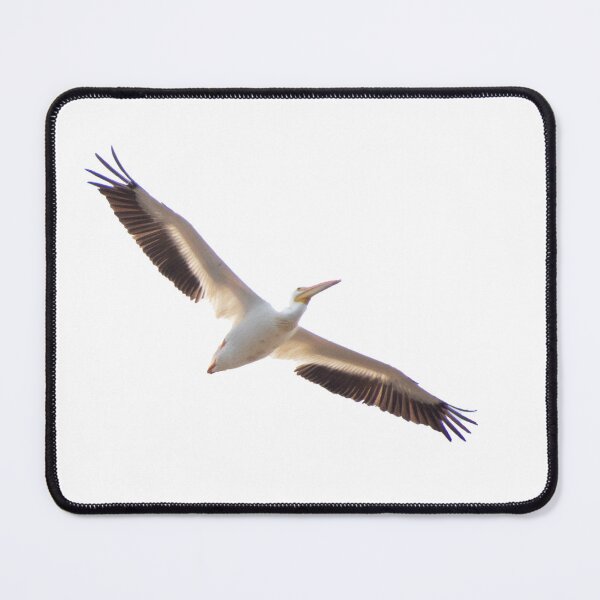 Item preview, Pelican Soaring Abvoe designed and sold by Perspective Wings.