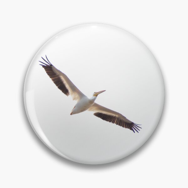 Item preview, Pelican Soaring Abvoe designed and sold by Perspective Wings.