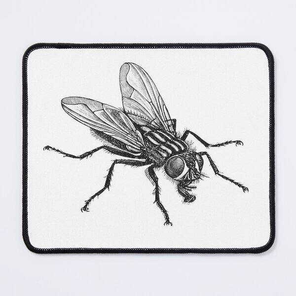 Item preview, Fly designed and sold by BANDOFSCRIBBLE Hollywood.