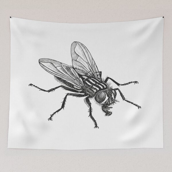 Item preview, Fly designed and sold by BANDOFSCRIBBLE Hollywood.