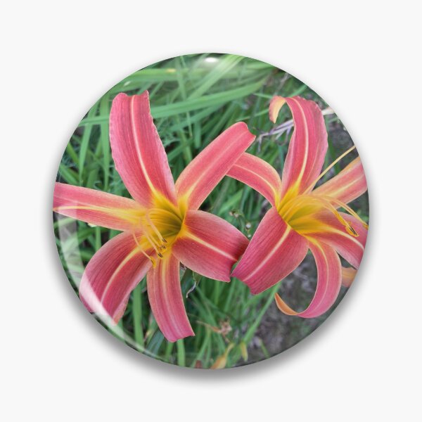 Item preview, Tiger Lilies  designed and sold by Amanda1775.
