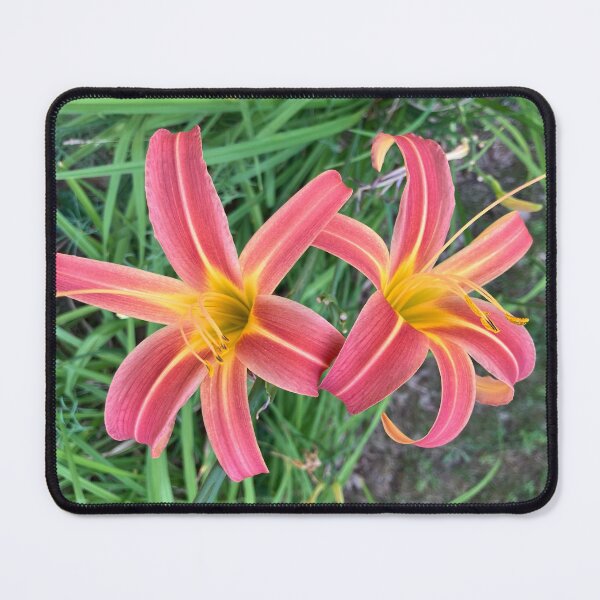 Item preview, Tiger Lilies designed and sold by Amanda1775.